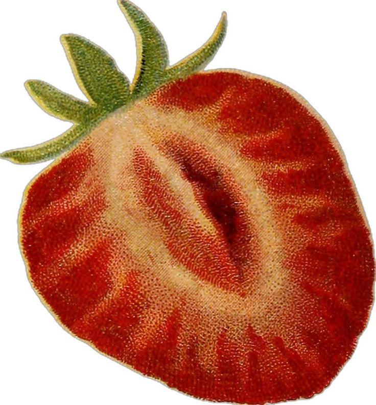 Orchard's Embrace: Berry Lovers' Dream Blend