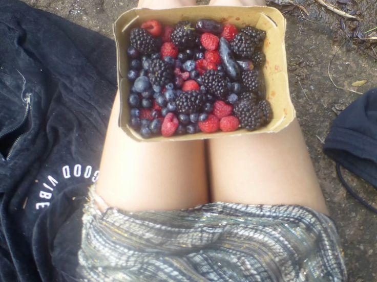 Berry Bounty: Garden-Fresh Medley Magic