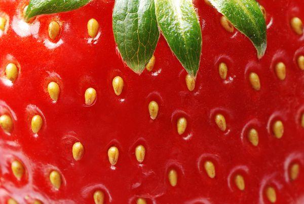 Nature's Berry Basket: Farm-Fresh Sweet Mix